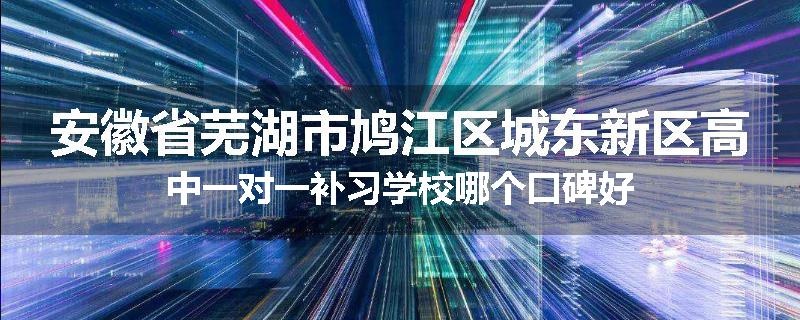 安徽省芜湖市鸠江区城东新区高中一对一补习学校哪个口碑好