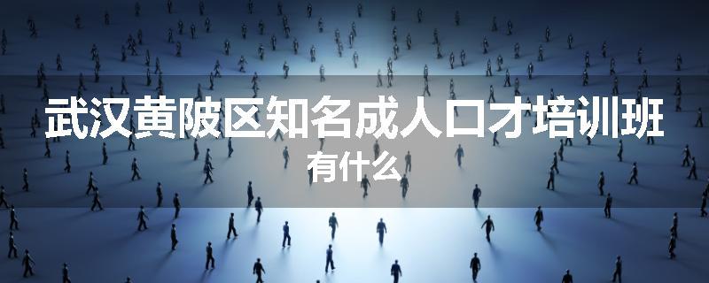 武汉黄陂区知名成人口才培训班有什么
