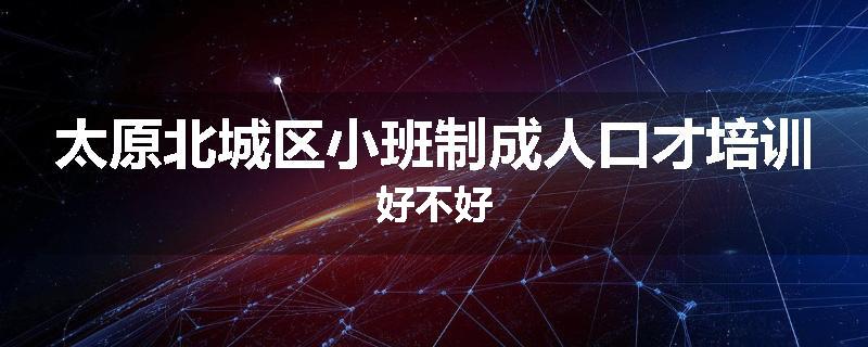 太原北城区小班制成人口才培训好不好