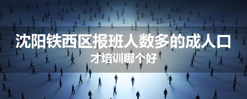 沈阳铁西区报班人数多的成人口才培训哪个好