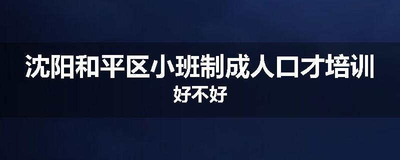 沈阳和平区小班制成人口才培训好不好