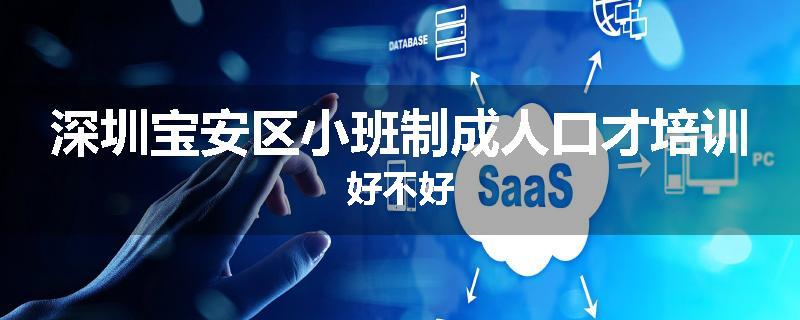 深圳宝安区小班制成人口才培训好不好