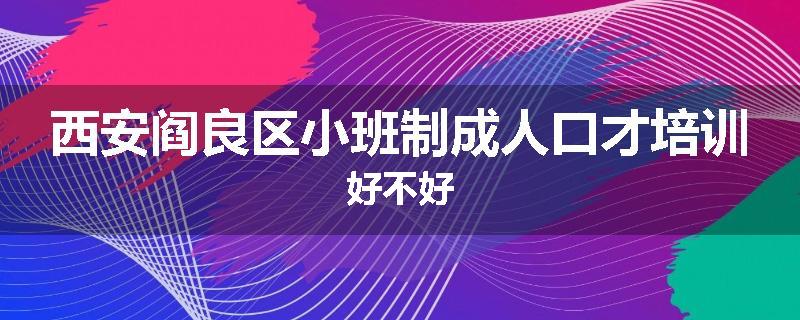西安阎良区小班制成人口才培训好不好