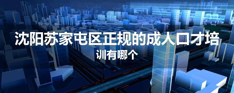 沈阳苏家屯区正规的成人口才培训有哪个