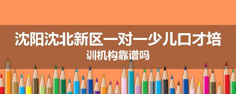 沈阳沈北新区一对一少儿口才培训机构靠谱吗