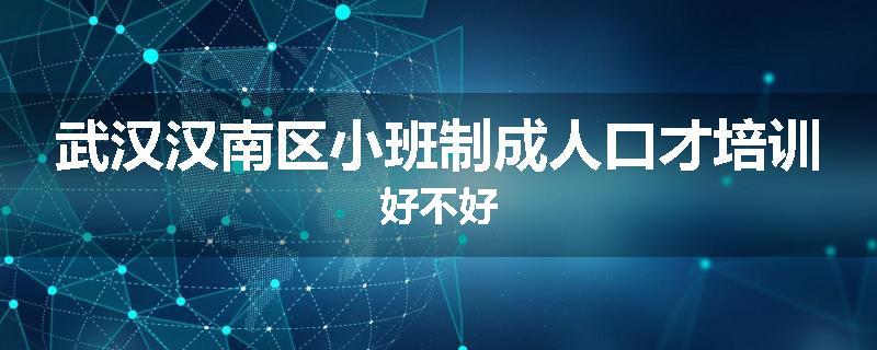 武汉汉南区小班制成人口才培训好不好