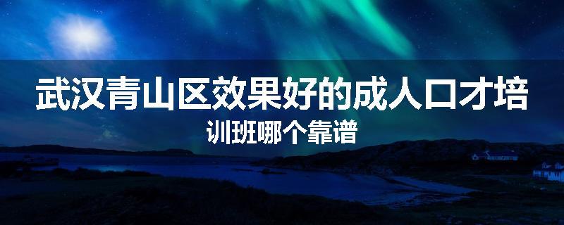 武汉青山区效果好的成人口才培训班哪个靠谱