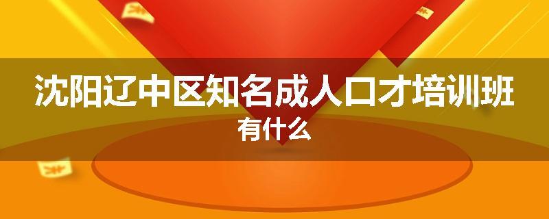 沈阳辽中区知名成人口才培训班有什么