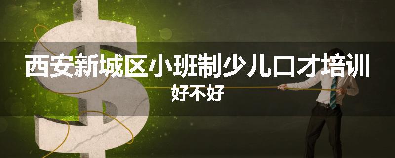 西安新城区小班制少儿口才培训好不好