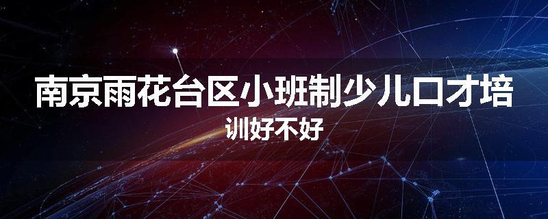 南京雨花台区小班制少儿口才培训好不好