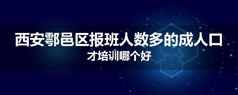 西安鄠邑区报班人数多的成人口才培训哪个好