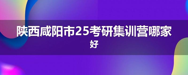 陕西咸阳市25考研集训营哪家好