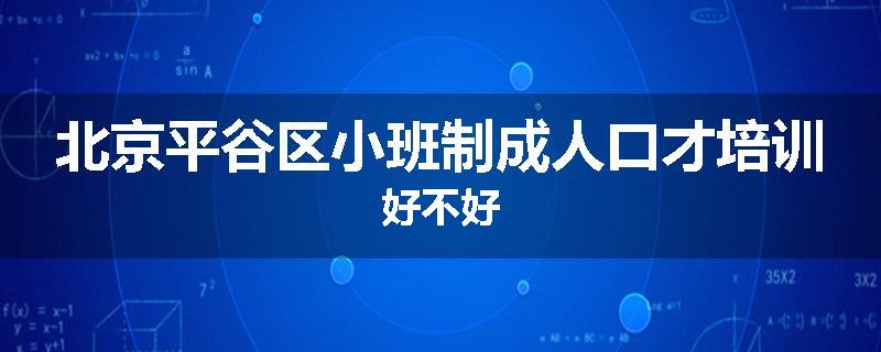北京平谷区小班制成人口才培训好不好