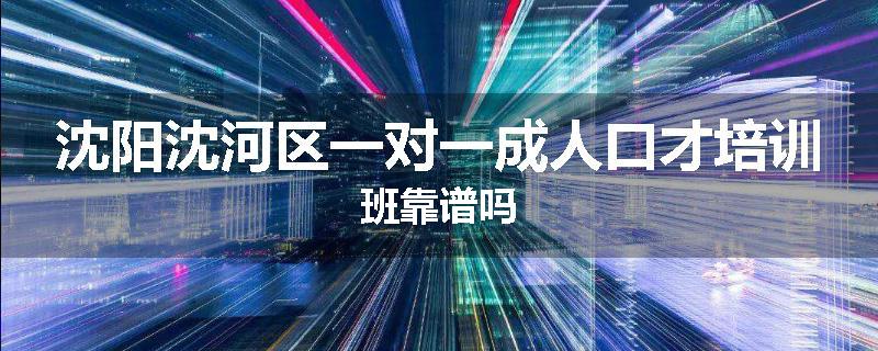 沈阳沈河区一对一成人口才培训班靠谱吗