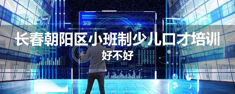 长春朝阳区小班制少儿口才培训好不好