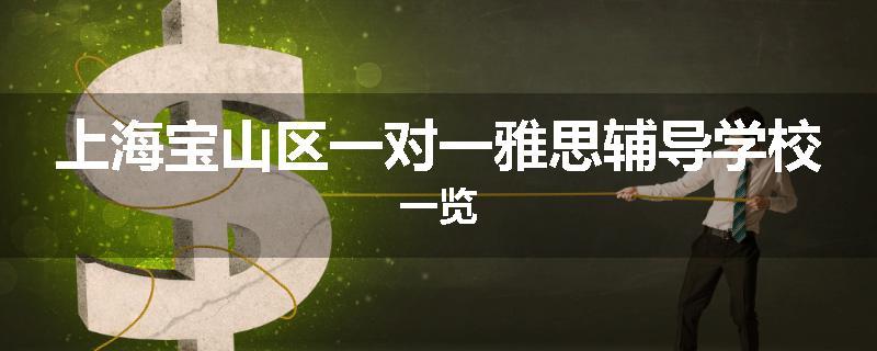 上海宝山区一对一雅思辅导学校一览
