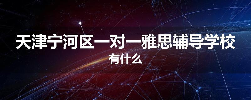 天津宁河区一对一雅思辅导学校有什么