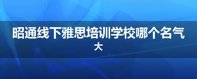 昭通线下雅思培训学校哪个名气大