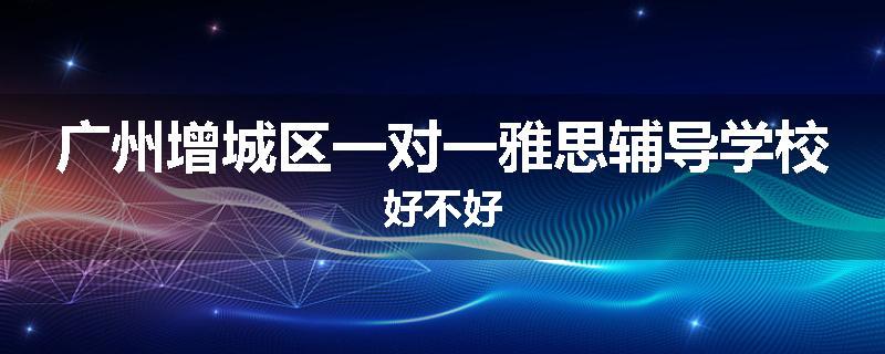 广州增城区一对一雅思辅导学校好不好