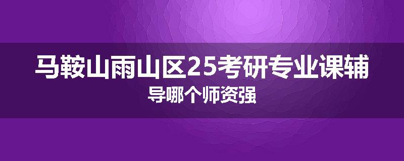 马鞍山雨山区25考研专业课辅导哪个师资强