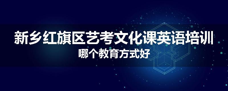 新乡红旗区艺考文化课英语培训哪个教育方式好