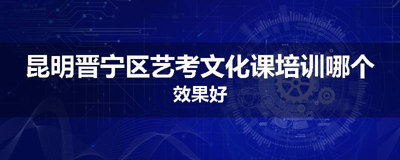昆明晋宁区艺考文化课培训哪个效果好
