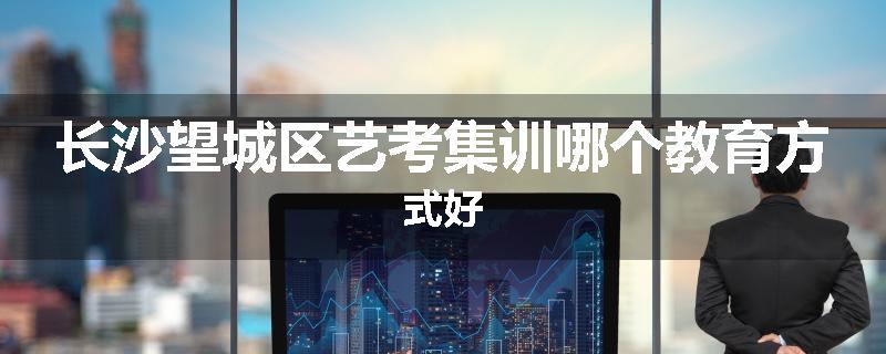 长沙望城区艺考集训哪个教育方式好