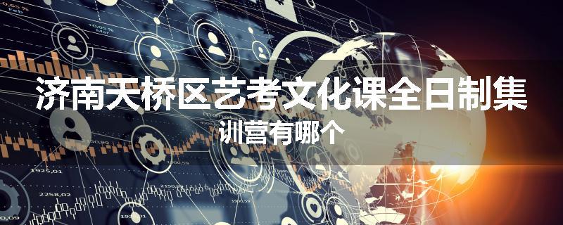 济南天桥区艺考文化课全日制集训营有哪个