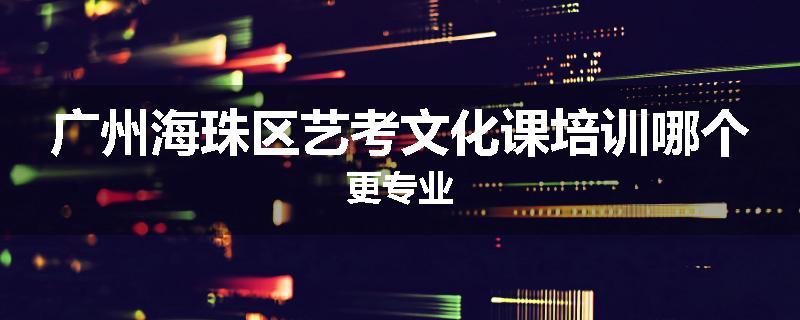 广州海珠区艺考文化课培训哪个更专业