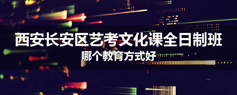 西安长安区艺考文化课全日制班哪个教育方式好