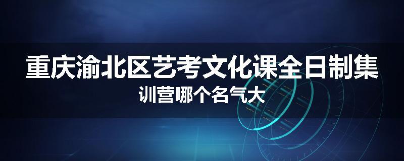 重庆渝北区艺考文化课全日制集训营哪个名气大