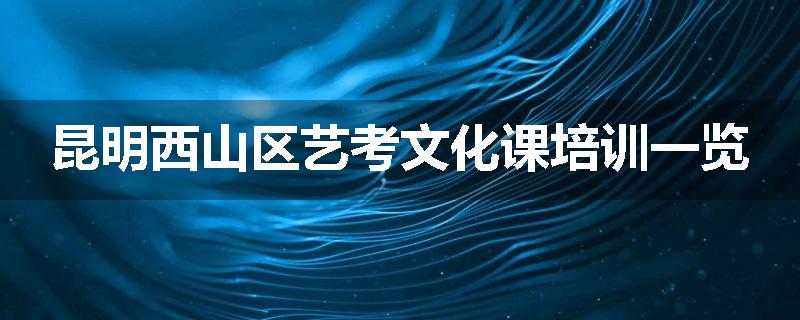 昆明西山区艺考文化课培训一览