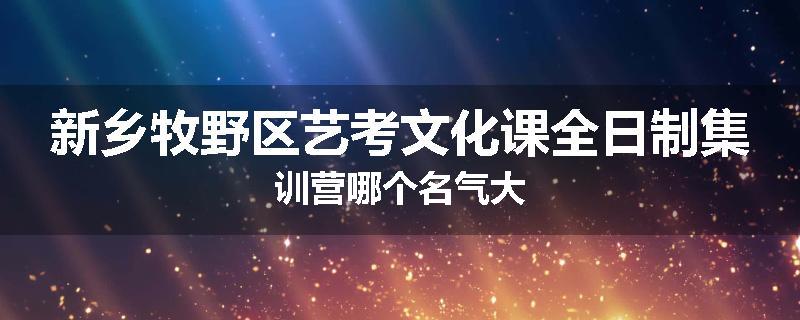 新乡牧野区艺考文化课全日制集训营哪个名气大