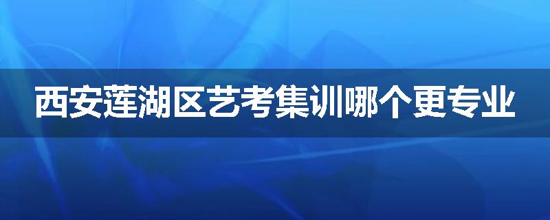 西安莲湖区艺考集训哪个更专业
