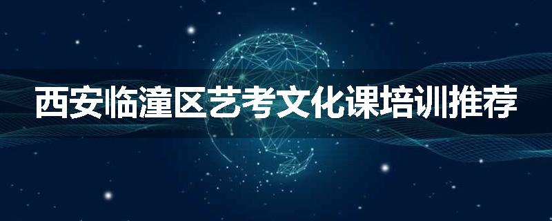西安临潼区艺考文化课培训推荐