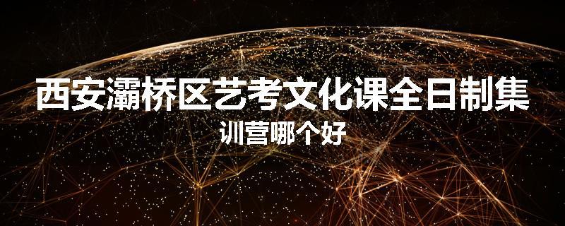西安灞桥区艺考文化课全日制集训营哪个好