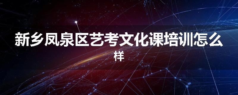 新乡凤泉区艺考文化课培训怎么样