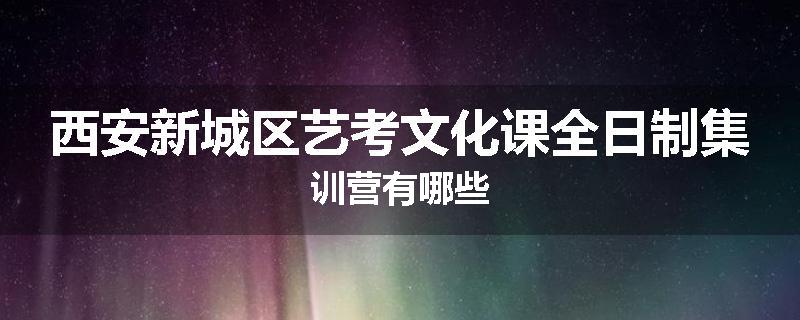 西安新城区艺考文化课全日制集训营有哪些