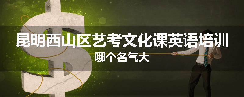 昆明西山区艺考文化课英语培训哪个名气大