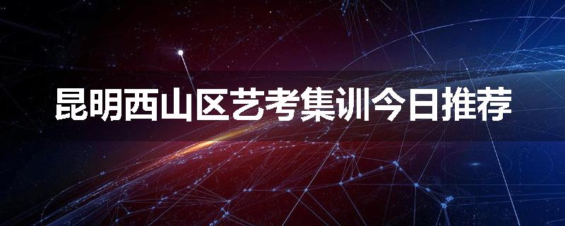 昆明西山区艺考集训今日推荐