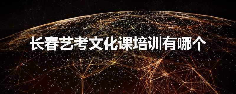 长春艺考文化课培训有哪个