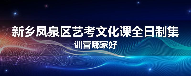 新乡凤泉区艺考文化课全日制集训营哪家好