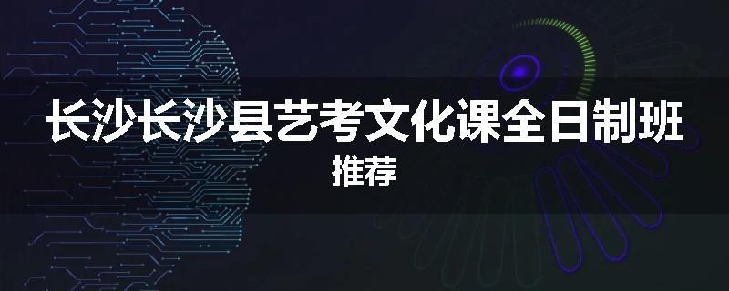 长沙长沙县艺考文化课全日制班推荐