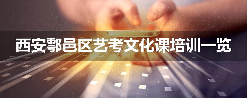 西安鄠邑区艺考文化课培训一览
