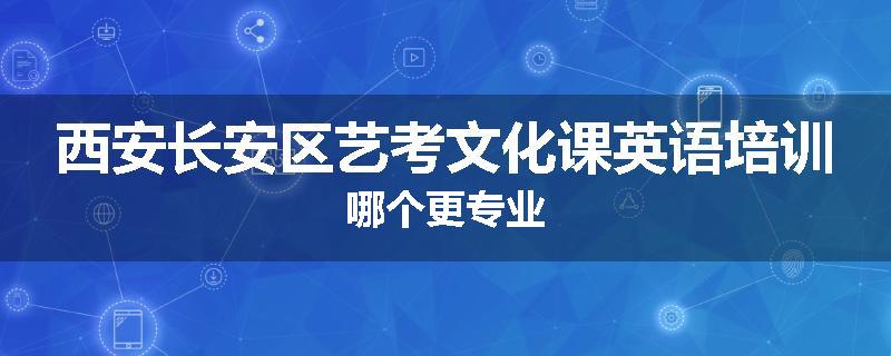 西安长安区艺考文化课英语培训哪个更专业