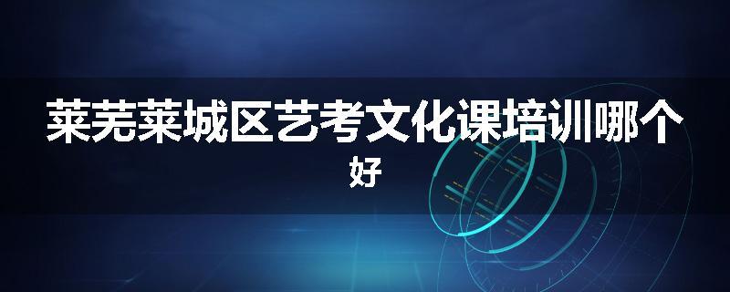莱芜莱城区艺考文化课培训哪个好