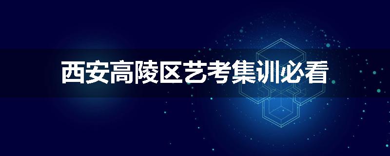 西安高陵区艺考集训必看