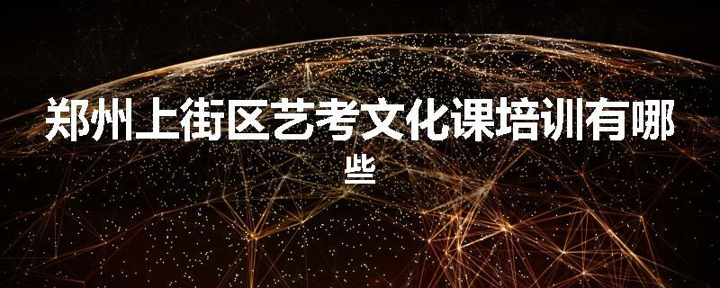 郑州上街区艺考文化课培训有哪些
