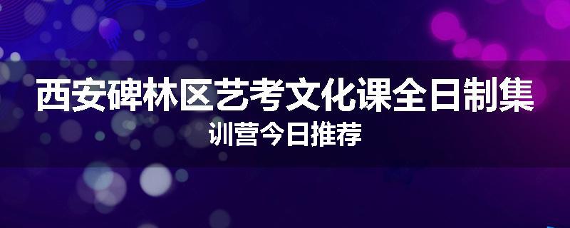 西安碑林区艺考文化课全日制集训营今日推荐