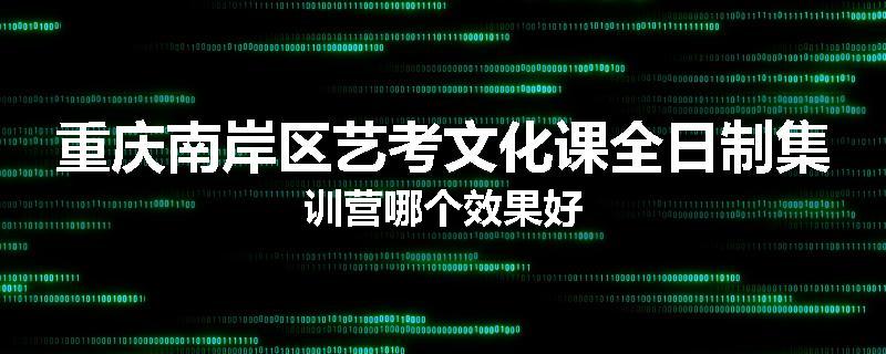 重庆南岸区艺考文化课全日制集训营哪个效果好